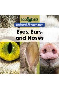 Eyes, Ears, and Noses