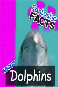 Fantastic Facts about Dolphins