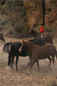 Journal Horse Herding Equine