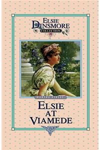 Elsie at Viamede, Book 18