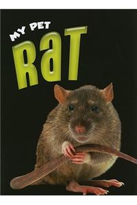 My Pet Rat