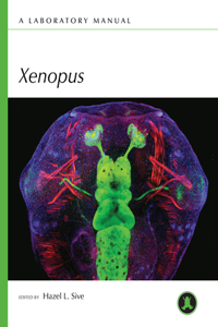 Xenopus