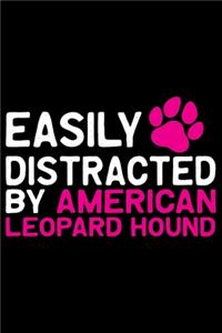 Easily Distracted by American Leopard Hound
