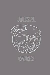 Cancer Journal