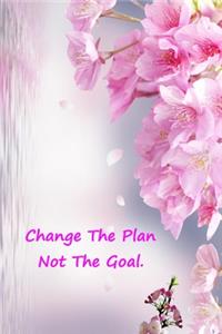 Change The Plan Not The Goal.