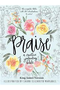 Praise: A Creative Journaling Bible