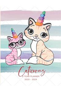 2020-2024 Five Year Planner Monthly Calendar Caticorns Goals Agenda Schedule Organizer