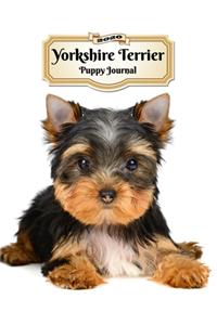 2020 Yorkshire Terrier Puppy Journal