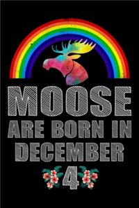 Moose Are Born In December 4