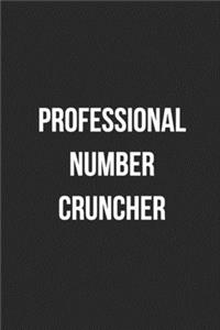 Professional Number Cruncher