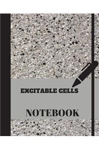 Excitable cell Notebook
