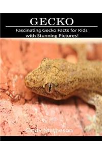 Gecko: Fascinating Gecko Facts for Kids with Stunning Pictures!