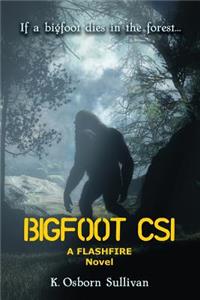 Bigfoot CSI