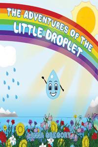 Adventures of the little droplet