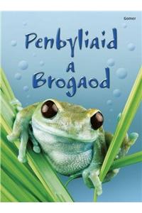 Cyfres Dechrau Da: Penbyliaid a Brogaod