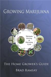 Growing Marijuana