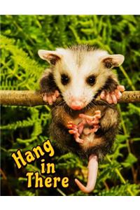 Hang in There