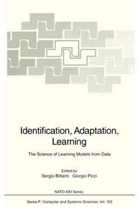 Identification, Adaptation, Learning