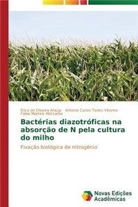 Bactérias diazotróficas na absorção de N pela cultura do milho