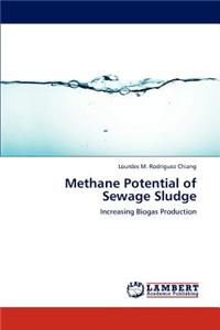 Methane Potential of Sewage Sludge