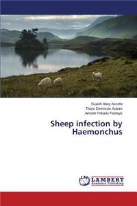 Sheep infection by Haemonchus
