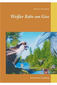 Weißer Rabe am Gise