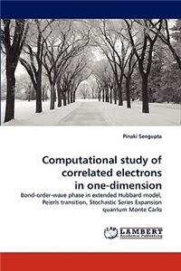 Computational study of correlated electrons in one-dimension