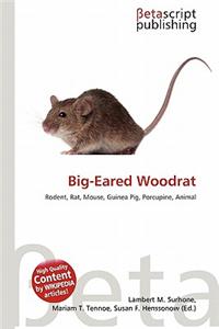 Big-Eared Woodrat