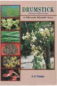 Drumstick( Moringa ): A Wonder Health Tree