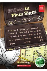 Hidden In Plain Sight  Su-Lin Ang
