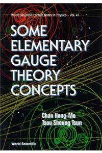 Some Elementary Gauge Theory Concepts