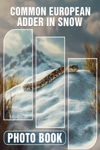 Common European Adder In Snow Photo Book