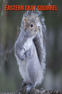 Eastern Gray Squirrel: Fun Facts & Cool Pictures