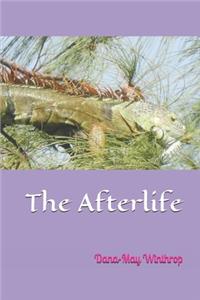The Afterlife
