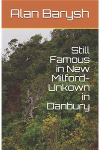 Still Famous in New Milford-Unkown in Danbury