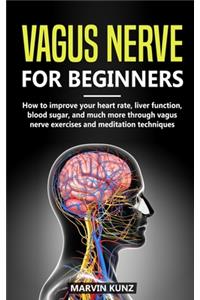 Vagus Nerve for beginners