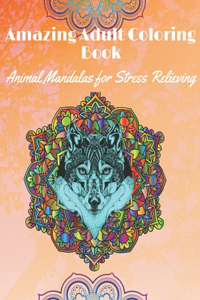 Amazing Adult Coloring Book
