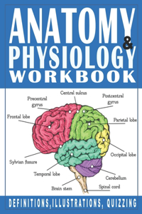 Anatomy And Physiology Workbook