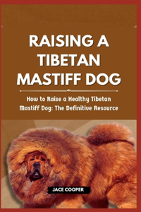 Raising a Tibetan Mastiff Dog