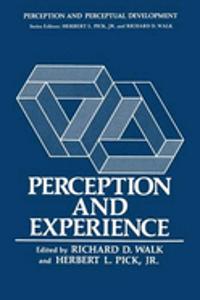 Perception and Experience