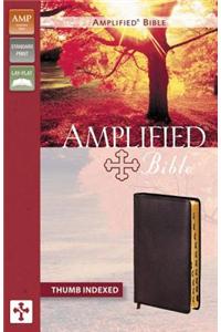 Amplified Bible-AM