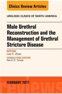 Male Urethral Reconstruction and the Management of Urethral Stricture Disease, An Issue of Urologic Clinics