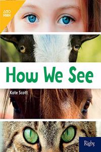 How We See