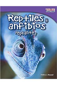 Reptiles y Anfibios (Reptiles and Amphibians)