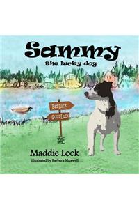 Sammy the Lucky Dog