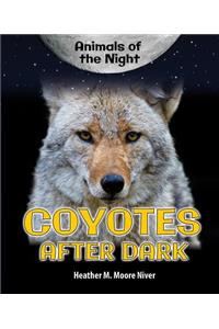 Coyotes After Dark