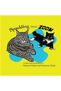 Spaulding and Zoom