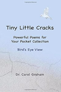 Tiny Little Cracks