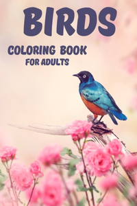 Birds Coloring Book for Adults
