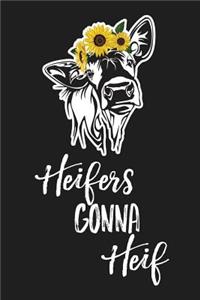 Heifers Gonna Heif
